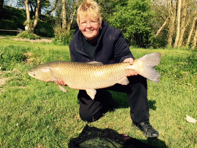 trish_grass_carp_14.05.16 trish_grass_carp_14.05.16